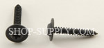 Black Phosphate Finish Trim Screws 5